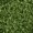 Pine Green