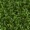 Spring Green