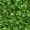 Field Green