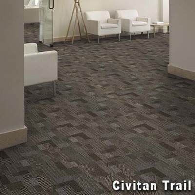 Cityscope Commercial Carpet Tile 24x24 Inch Carton of 24 Civitan Trail Install Monolithic