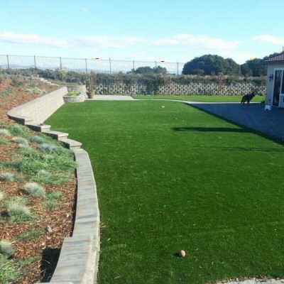 Pet Heaven Artificial Grass Turf Roll 15 Ft backyard
