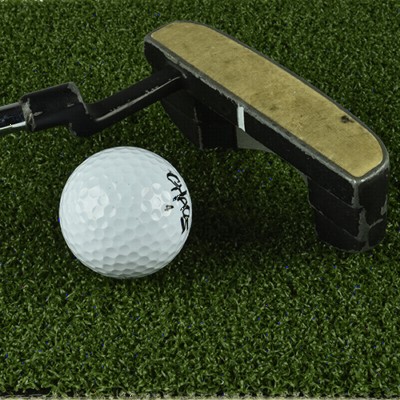 One Putt Artificial Grass Putting Green Turf