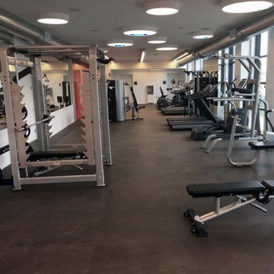 PaviGym Flooring Gym Endurance Floor Tile Weight Room