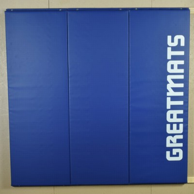 Safety Wall Pad 2x6 Ft x 2 Inch WBLipTB ASTM 3 pads.