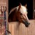 Pony Stall Barn