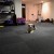 Royal Interlocking Carpet Tiles in Basement Gym showing a dog