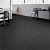 Bold Thinking Commercial Carpet Tiles 24x24 Inch Carton of 24 Shadow Install Multidirectional
