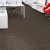 Daily Wire Commercial Carpet Tiles 24x24 Inch Carton of 24 Get Wired Install Quarter Turn