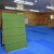 Large climbing wall for dogs on blue agility mats
