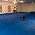 Foam Mat Economy 1/2 Inch customer dog flooring.