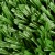 Top close up view EasyPlay Landscape Artificial Grass Turf 2 Inch x 15 Ft. Wide per SF