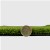 EZ-Putt 2 Artificial Grass Turf 1/2 Inch x 15 Ft. Wide per SF Thickness with coin