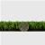 ZeroLawn Basic Artificial Grass Turf 1 Inch x 15 Ft. Wide per SF thickness compared to coin