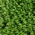 ZeroLawn Classic Artificial Grass Turf 1-1/2 Inch x 15 Ft. Wide per SF Top close up