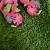 ZeroLawn Standard Artificial Grass Turf 1-1/2 Inch x 15 Ft. Wide per SF top view with flip flops