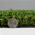 Endless Summer Artificial Grass Turf 1-9/16 Inch x 15 Ft. Wide Thickness