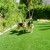 Pet Heaven Artificial Grass Turf Roll 15 Ft german shepard