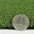 Money Putt Artificial Grass Turf Roll 15 FtThickness