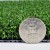 Perfect Putt Artificial Grass Turf Roll 15 Ft Thickness