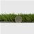 Sunny Sod Artificial Turf thickness comparison with quarter