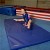 4x8x2 Gymnastics Panel Mat 