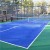 Pickleball Court Kit with Lines 30x60 Ft. with net in Navy Blue and Sport Green