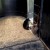 Portable Horse Stall Mats in Trailer customer photo.