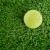 Greatmats Select Pet Turf top view with tennis ball