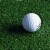 Arena Pro Golf Turf with Ball