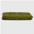 ZeroLawn Platinum Artificial Grass Turf 1-1/2 Inch x 15 Ft. Wide per SF side view